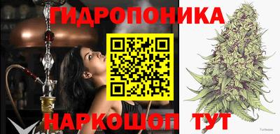 PSILOCYBIN Краснодар
