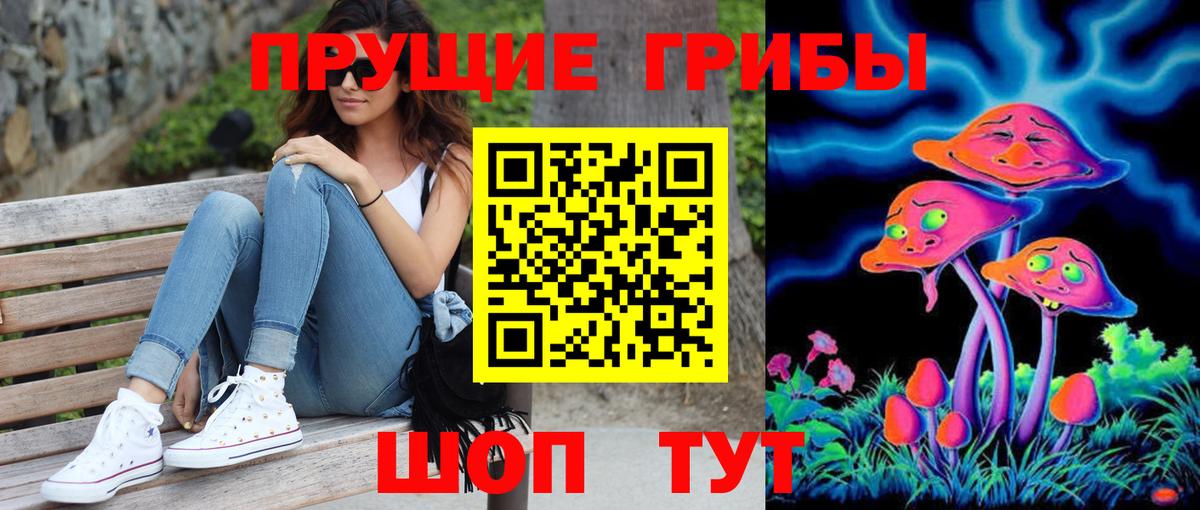 Волжск  Галлюциногенные грибы Psilocybine cubensis  Вход с VPN 