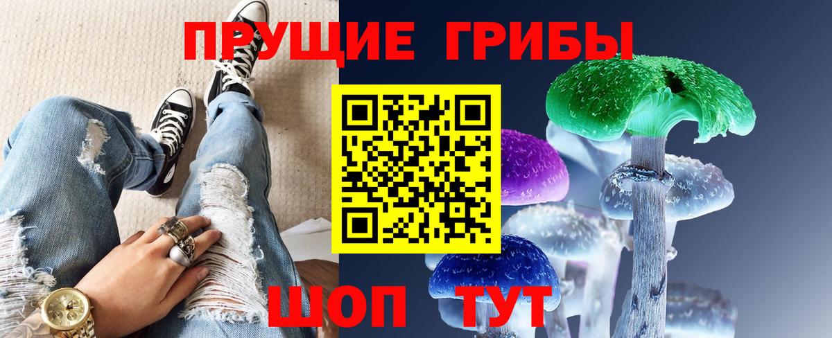 Галлюциногенные грибы Psilocybine cubensis Волжск